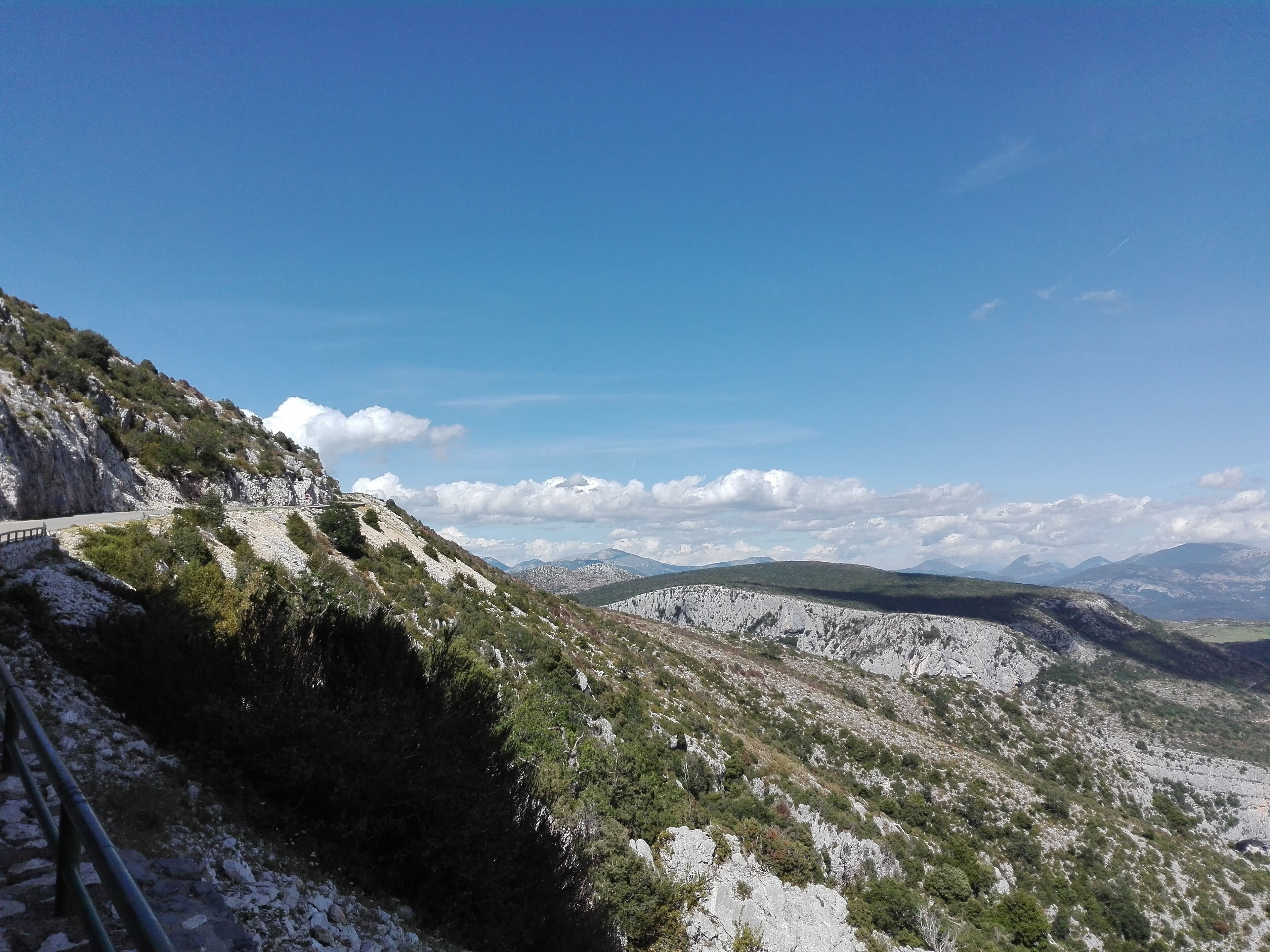 Good photo spot for griffin pictures