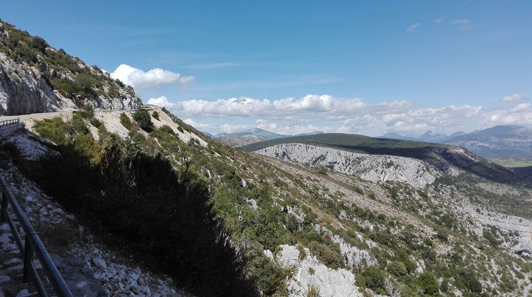 Good photo spot for griffin pictures