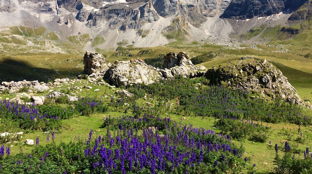 Completely surrounded by beautiful views