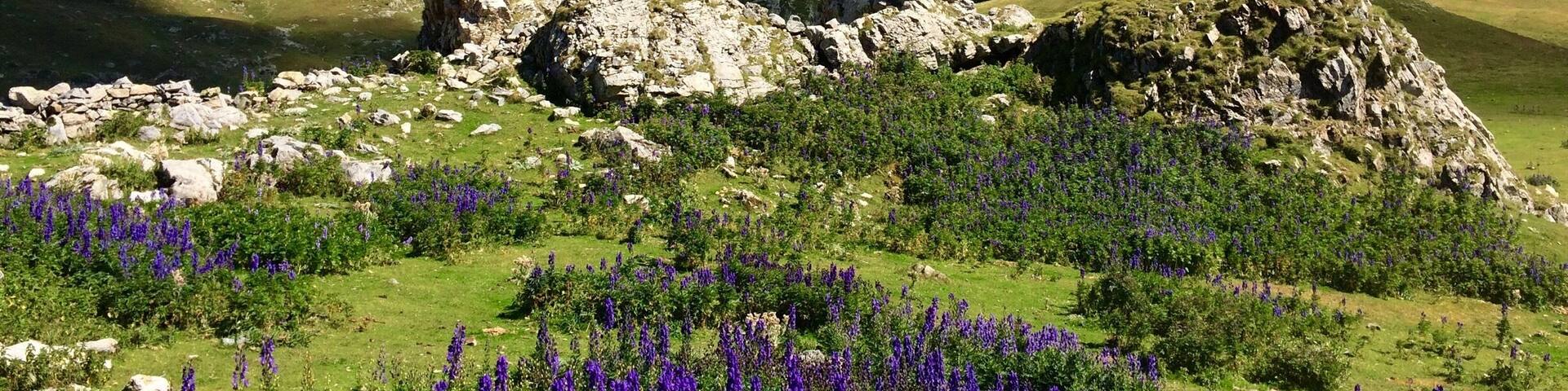 Completely surrounded by beautiful views