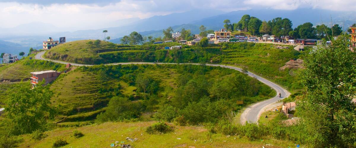 A winding road through terraced fields, with buildings and trees in the background.