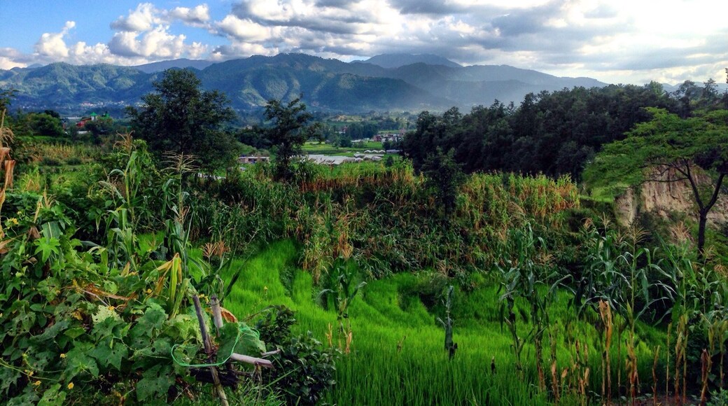 Countryside as seen while on the way to Nagarkot Nepal.