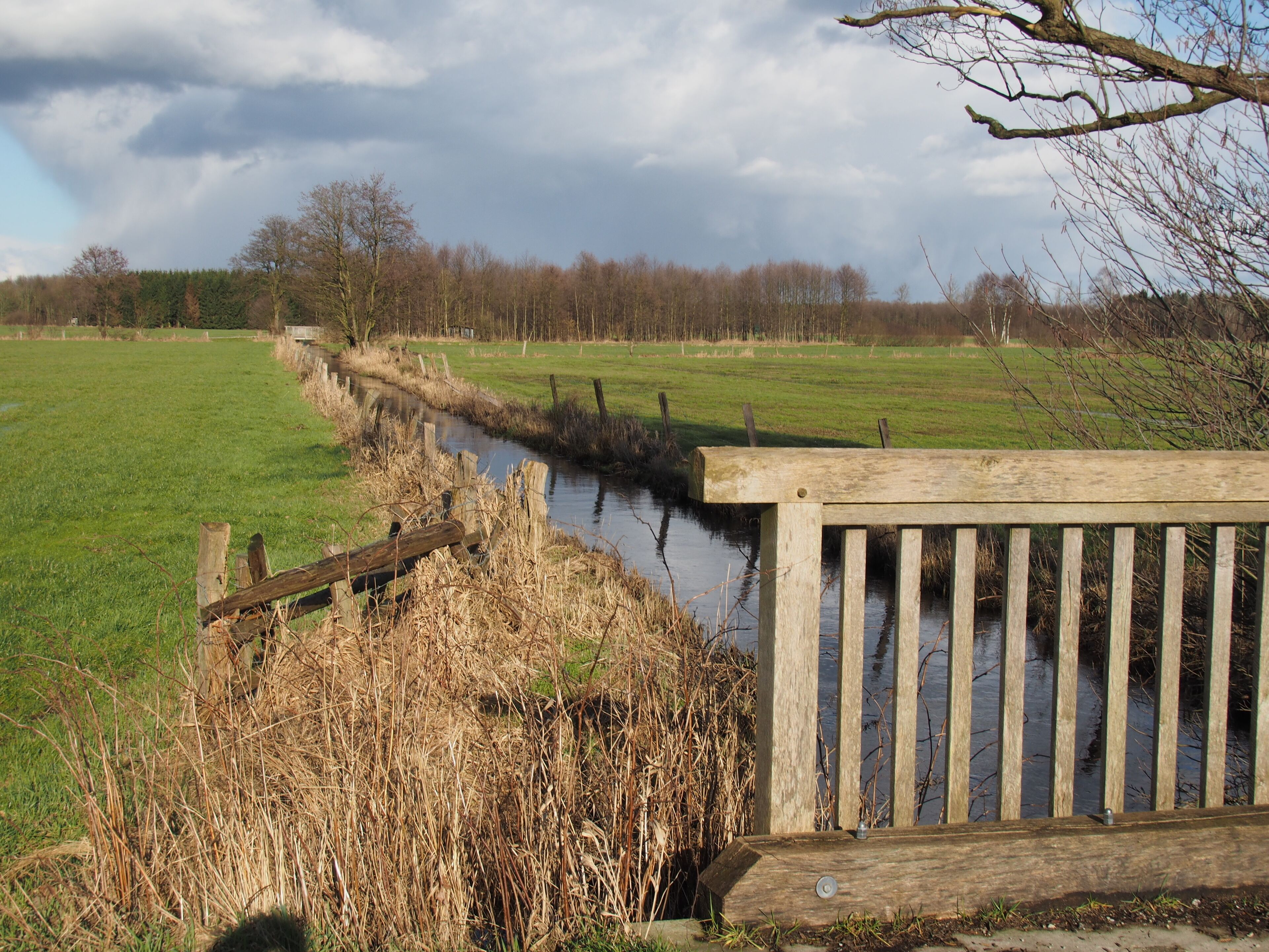 Bruchbach bei Eversen (Stadt Bergen), Niedersachsen