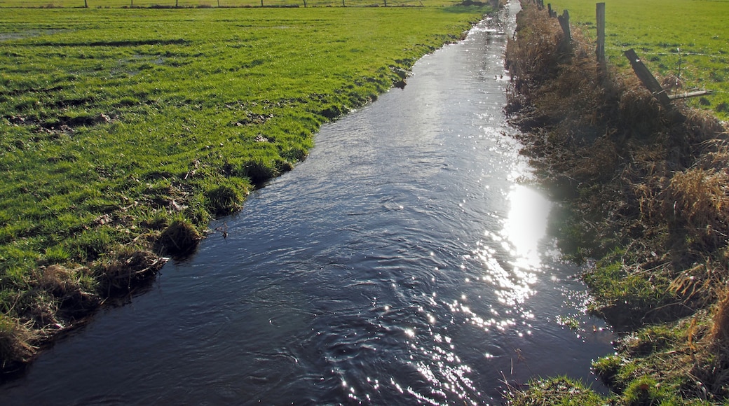 Bruchbach bei Eversen (Stadt Bergen), Niedersachsen
