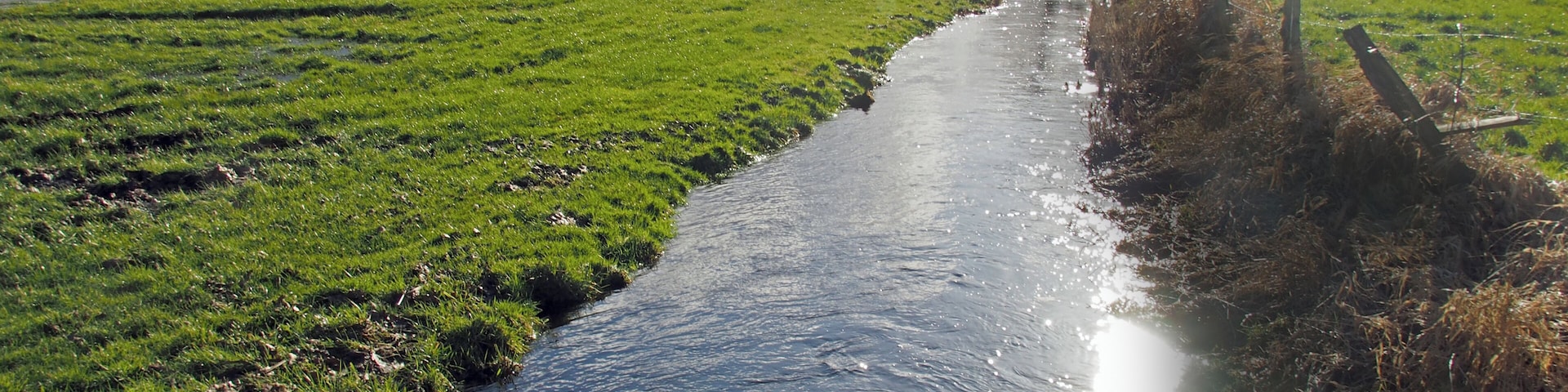 Bruchbach bei Eversen (Stadt Bergen), Niedersachsen