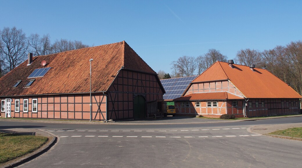 Bauernhof Dohnsen Nr. 3, Bergen (Celle)