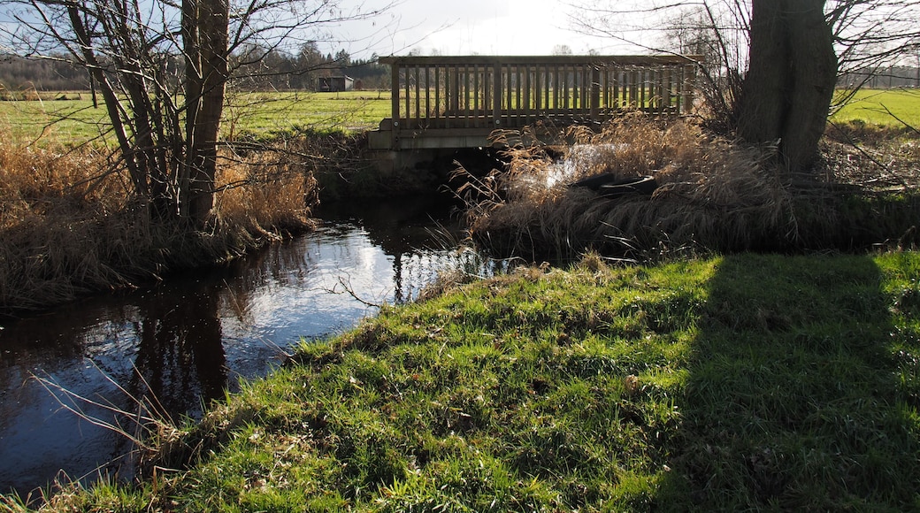 Bruchbach bei Eversen (Stadt Bergen), Niedersachsen