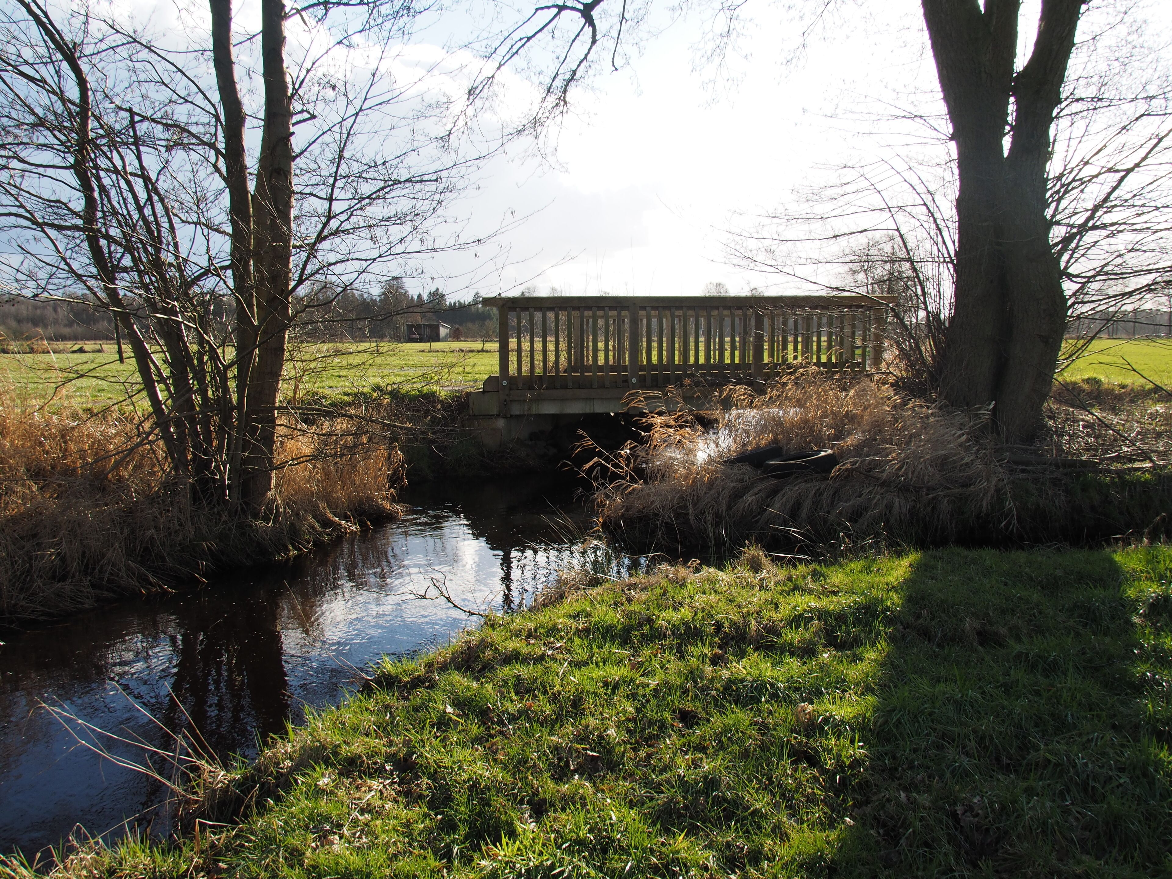 A wooden bridge over a narrow stream, surrounded by trees and grassy fields.