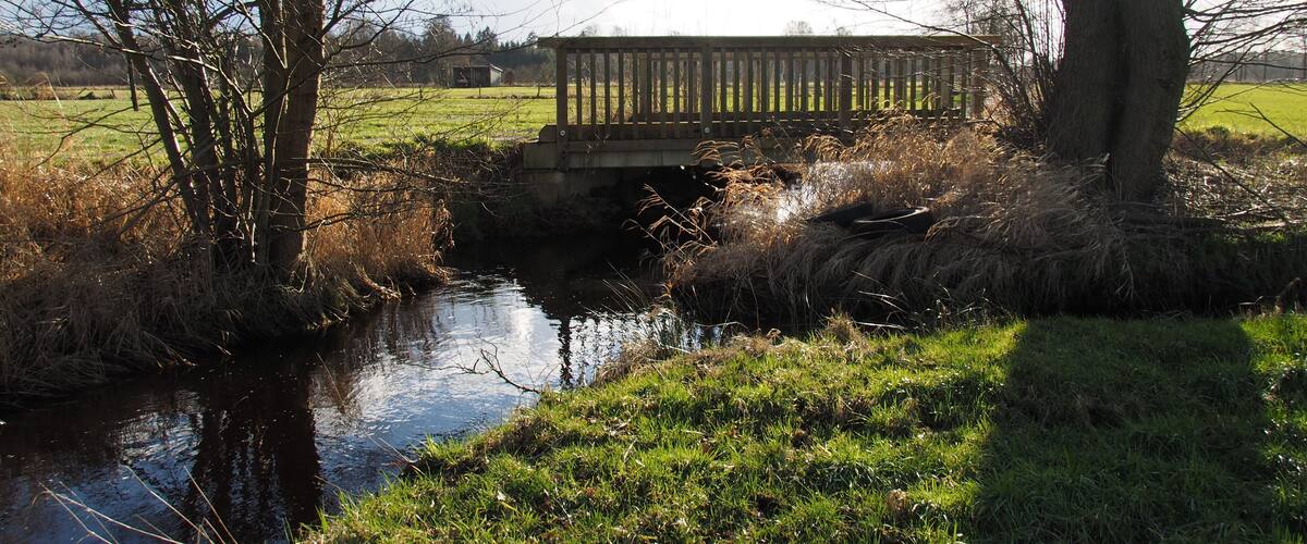 A wooden bridge over a narrow stream, surrounded by trees and grassy fields.