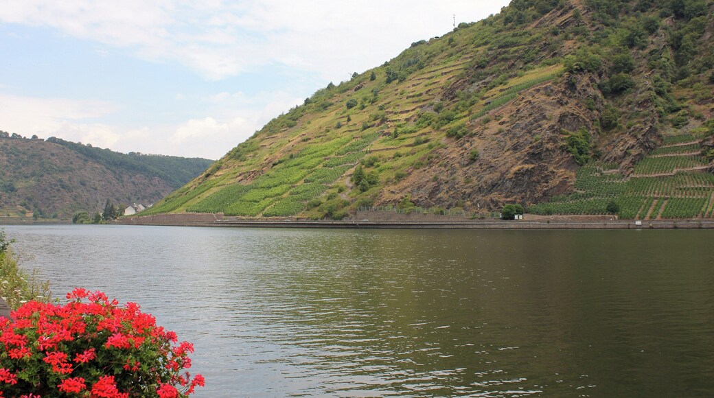 River Mosel, Löf, Rhineland-Palatinate, Germany
