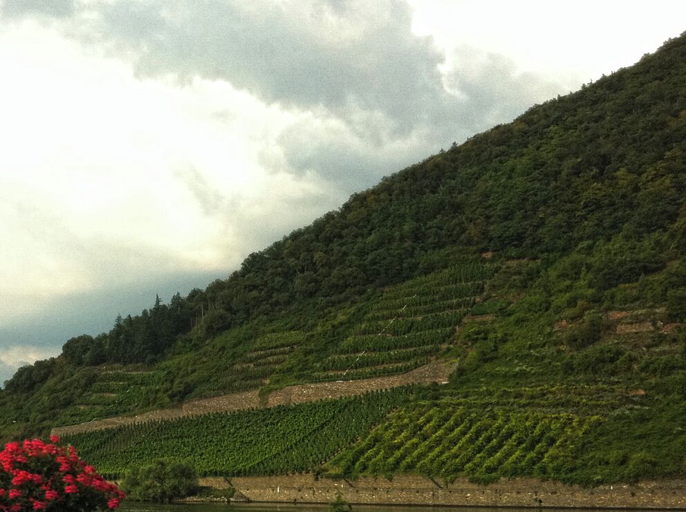 Alemanha, julho de 2011