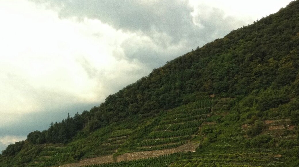 Alemanha, julho de 2011