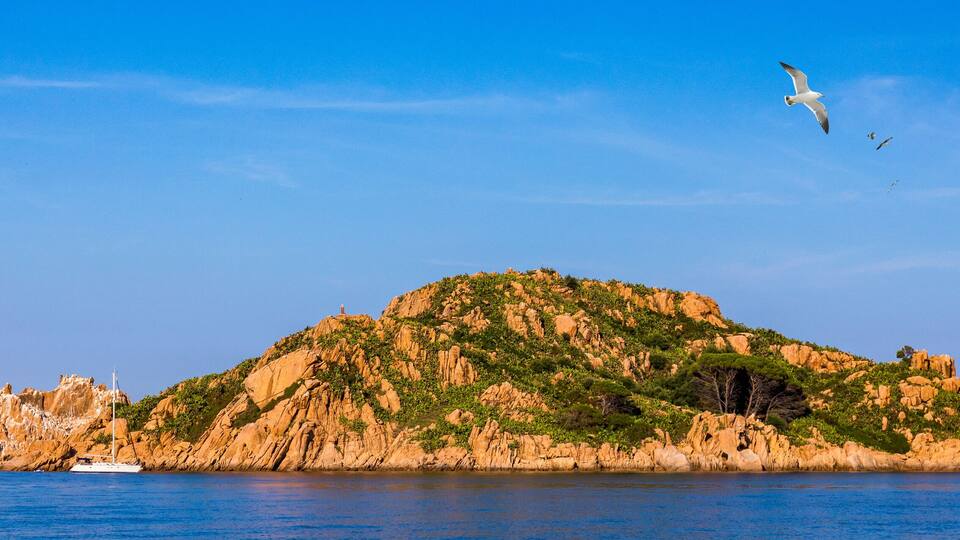 A rocky island with a sailboat in the water and a seagull flying above.