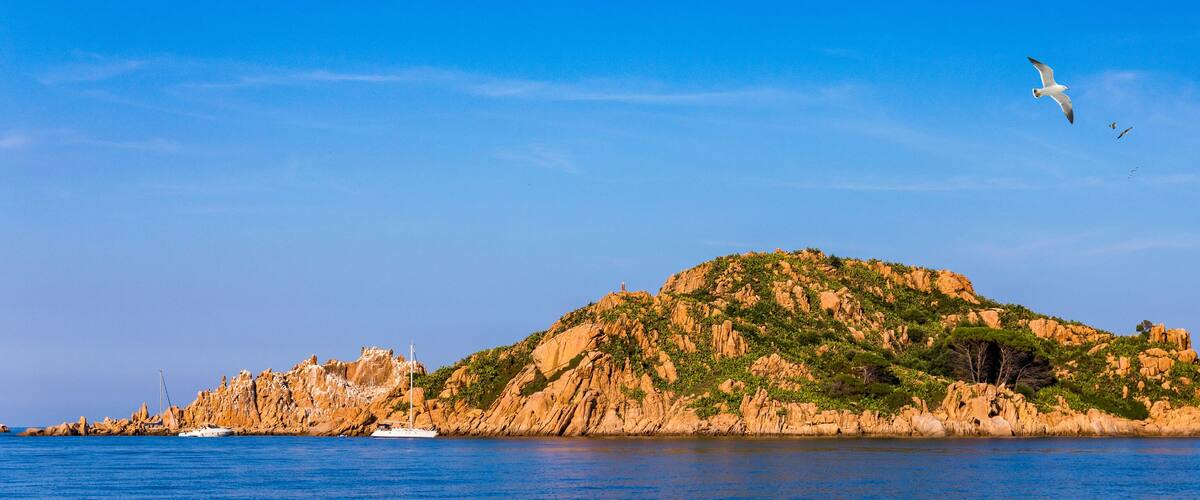 A rocky island with a sailboat in the water and a seagull flying above.