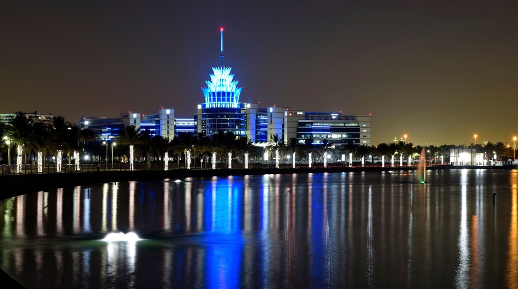 Dubai, United Arab Emirates - May 21, 2018: Dubai Silicon Oasis Headquarters Building with Lake view at night, Established in 2014 a free zone owned by the Government of Dubai.