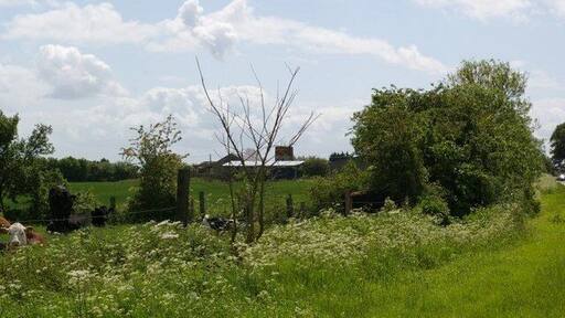 View towards Willingham