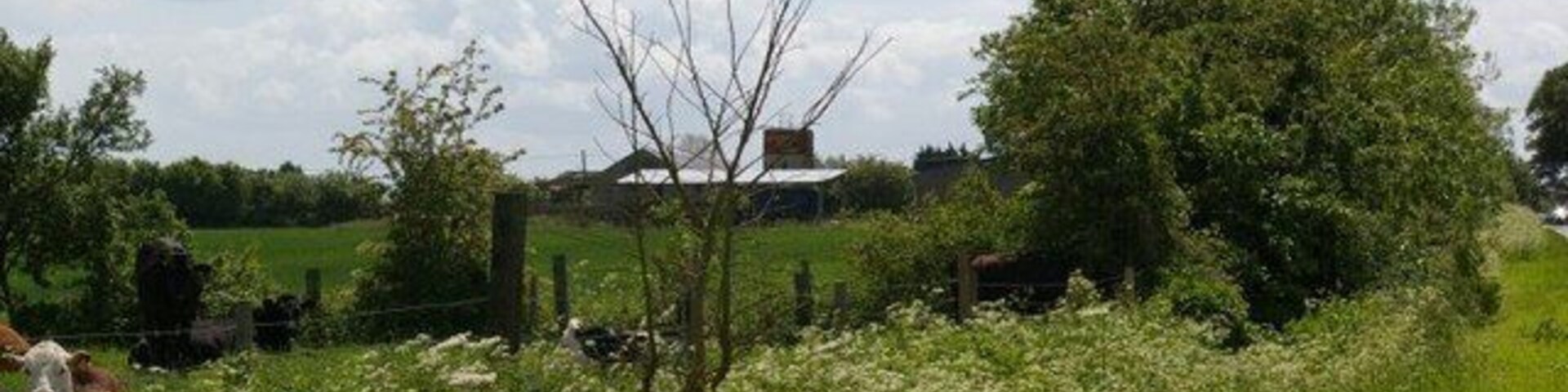 View towards Willingham