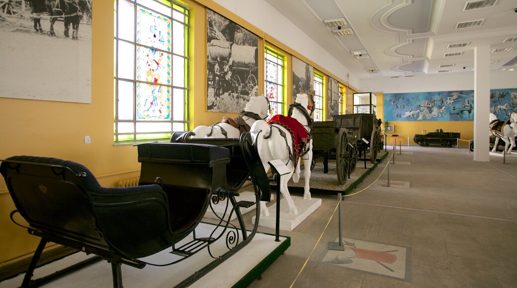 National Military Museum featuring interior views