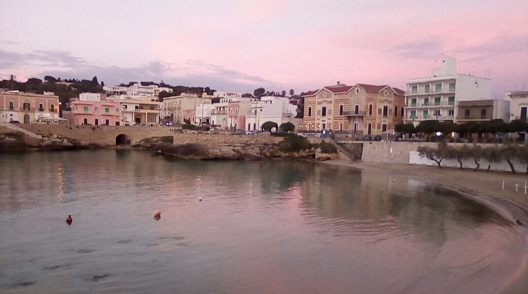 #nature #sunset #sea #beach #salento