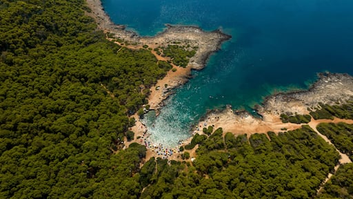 Aerial view of the beach in the Porto Selvaggio Regional Natural Park in Salento. It is a protected natural area of Puglia located in the province of Lecce, Italy.