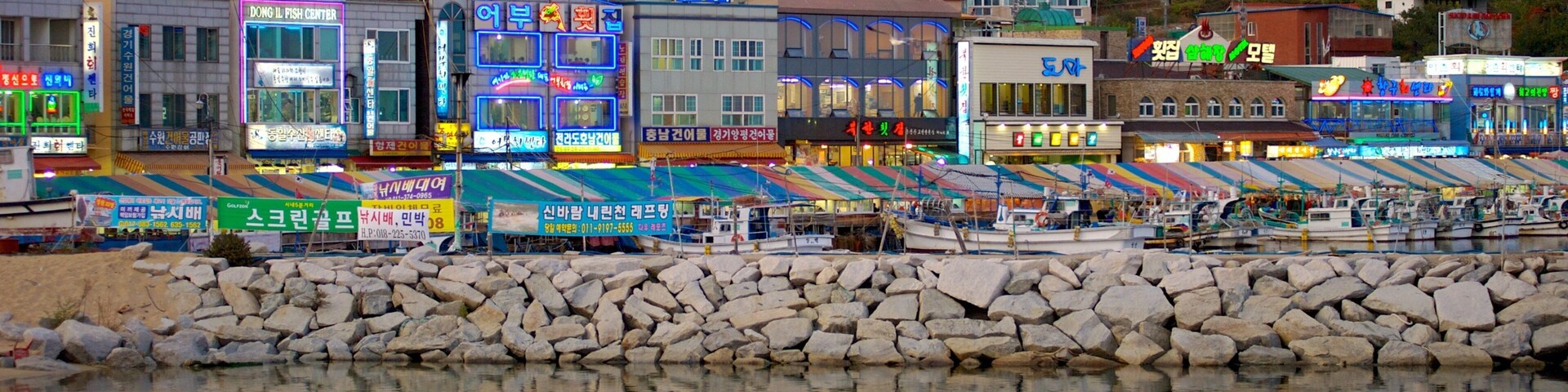 Sokcho showing rocky coastline and a coastal town