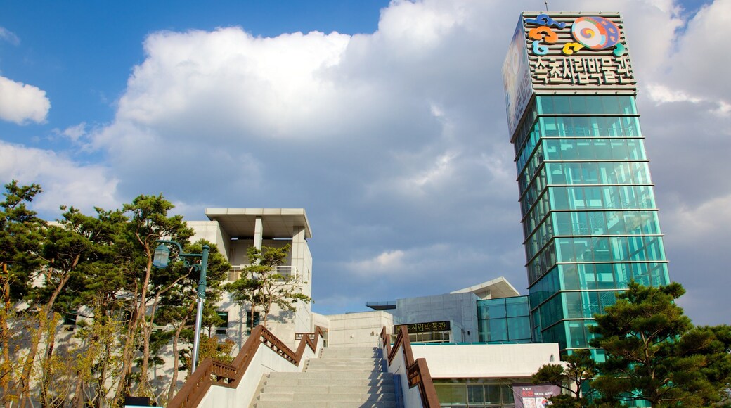 Sokcho which includes a city and skyline