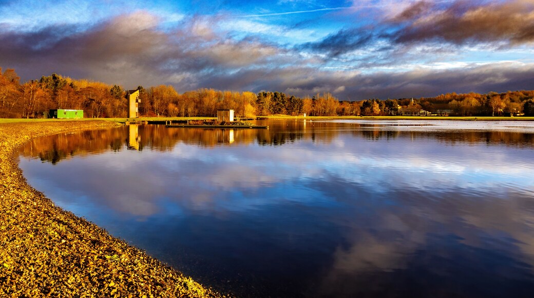 Strathclyde Loch, Hamilton, Motherwell, Scotland