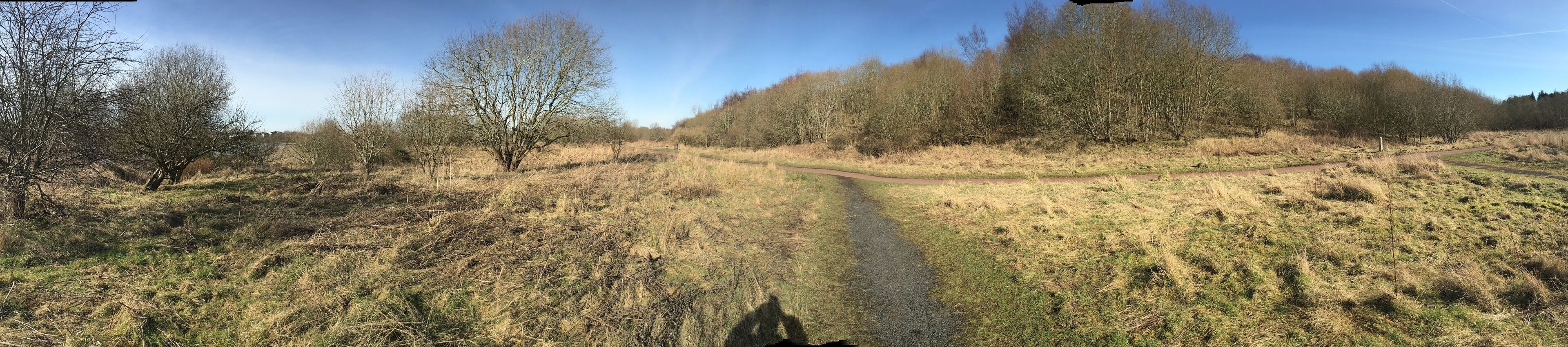 Greenhead Moss Community Nature Park
