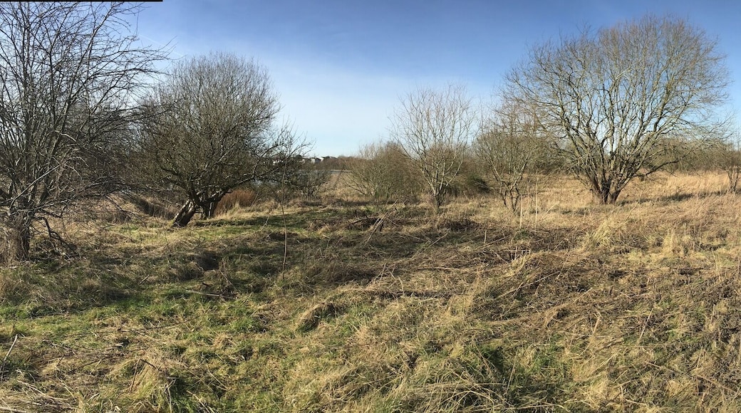 Greenhead Moss Community Nature Park