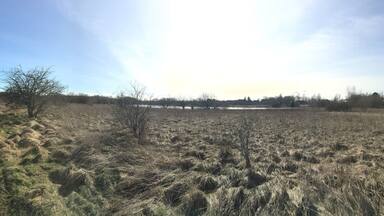 Greenhead Moss Community Nature Park