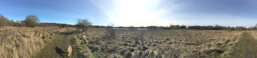 Greenhead Moss Community Nature Park