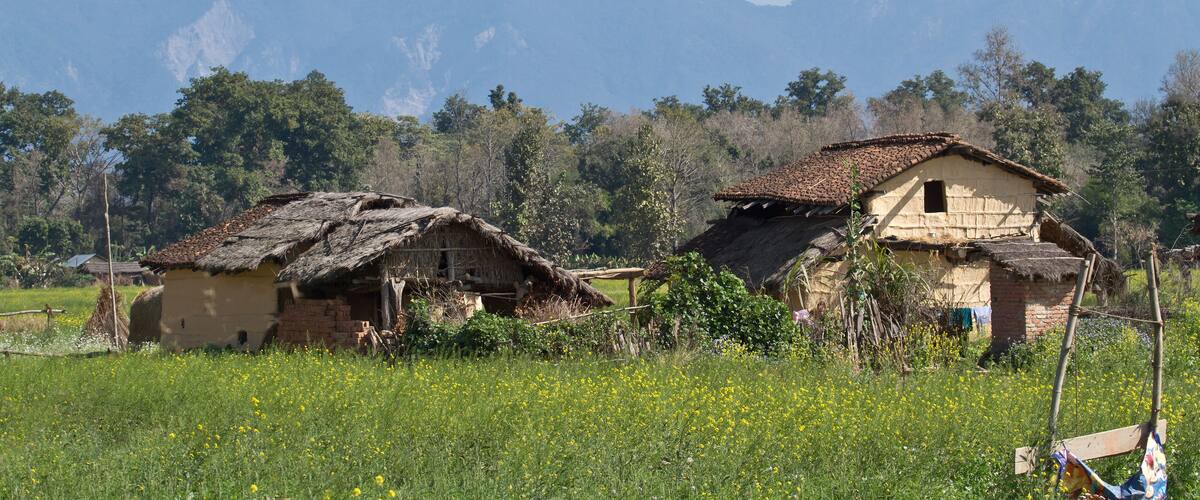 A rural village with traditional thatched-roof houses, surrounded by a lush green field and mountains in the background.