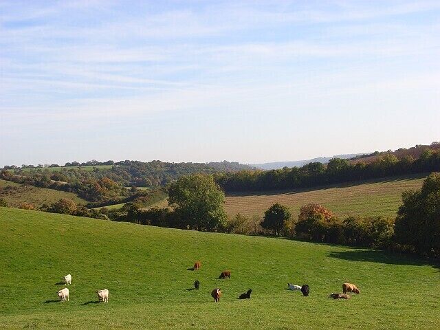 Pasture, Chinnor Looking down the dry valley that leads towards Radnage.