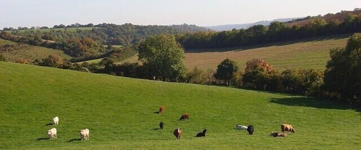 Pasture, Chinnor Looking down the dry valley that leads towards Radnage.