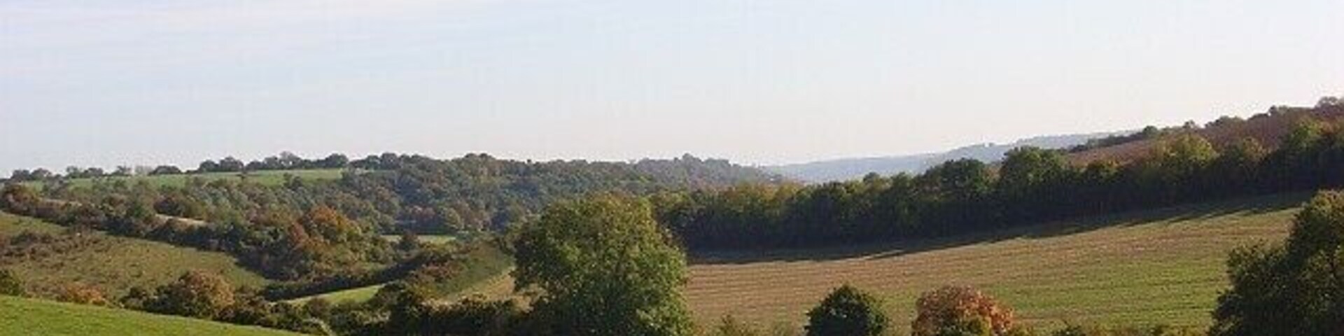 Pasture, Chinnor Looking down the dry valley that leads towards Radnage.