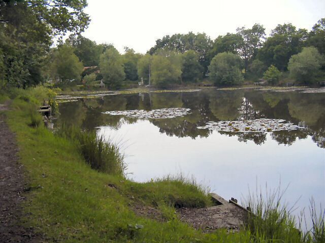 The lake at Kingston. Plenty of wild life and an excellent walk around the lake.