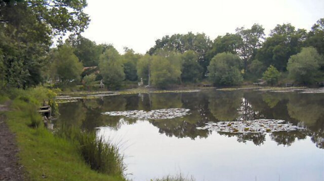 The lake at Kingston. Plenty of wild life and an excellent walk around the lake.