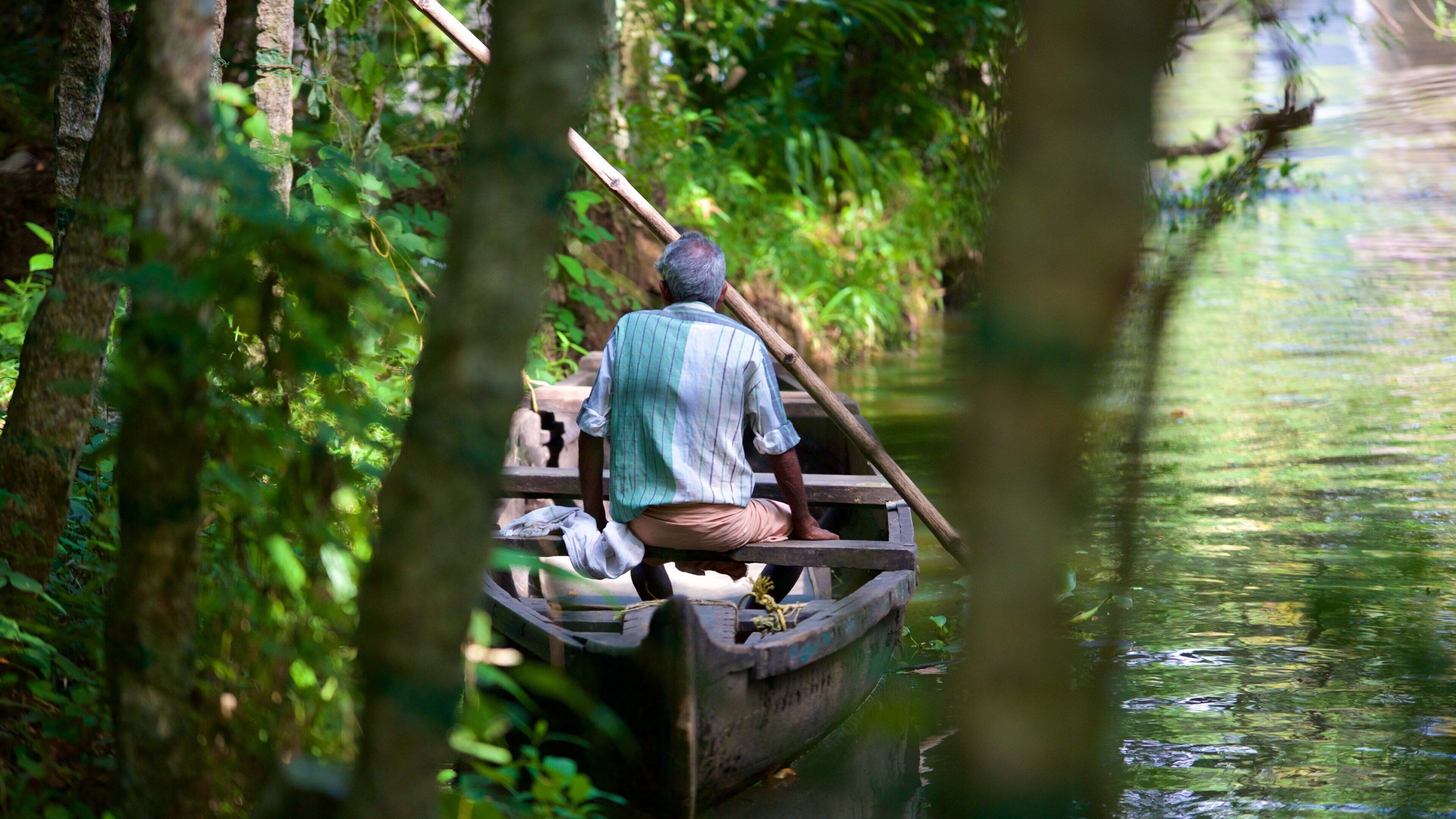 A man in a boat surrounded by dense forest and water.