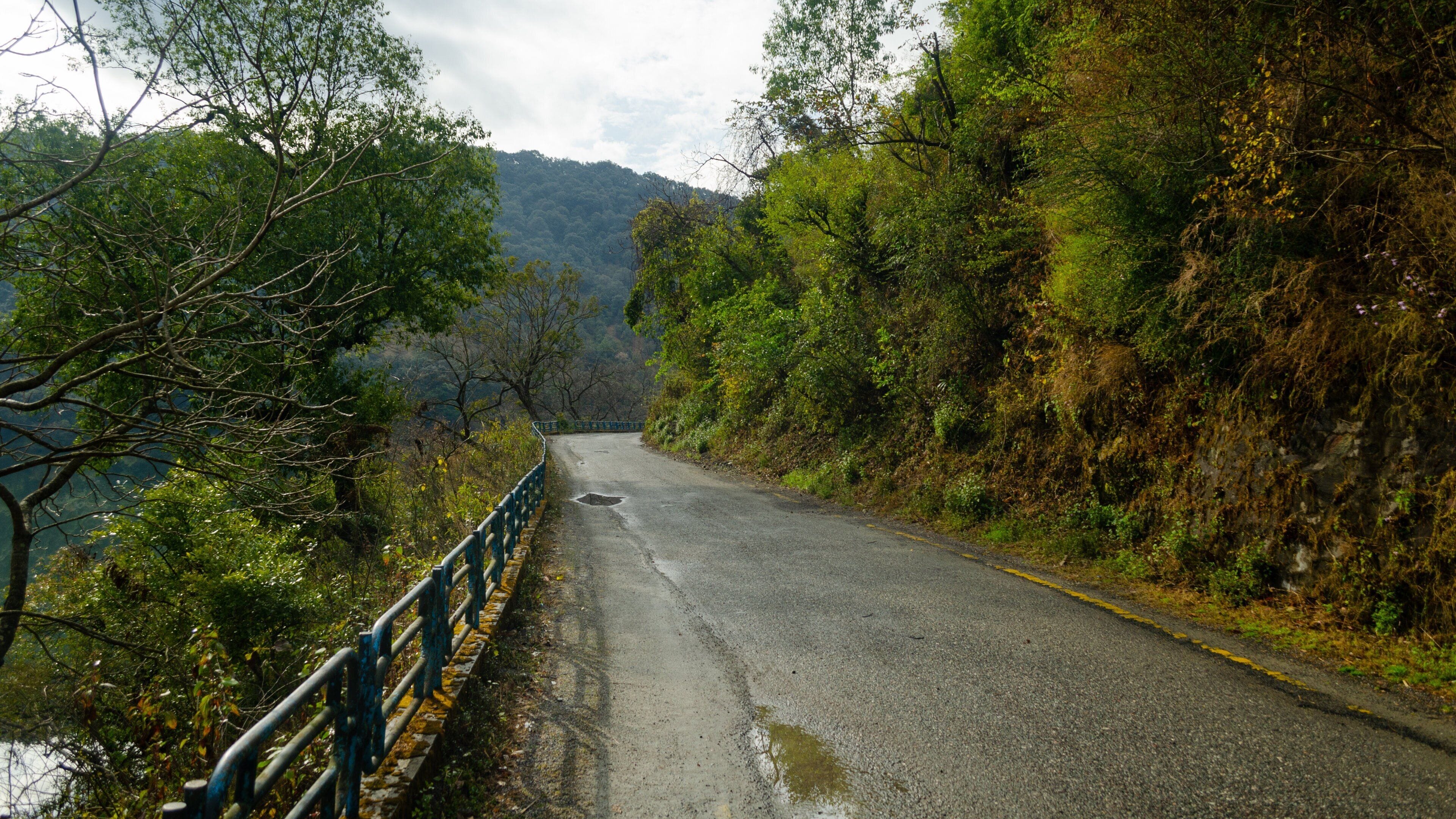 Naukuchiyatal mostrando vistas de paisajes