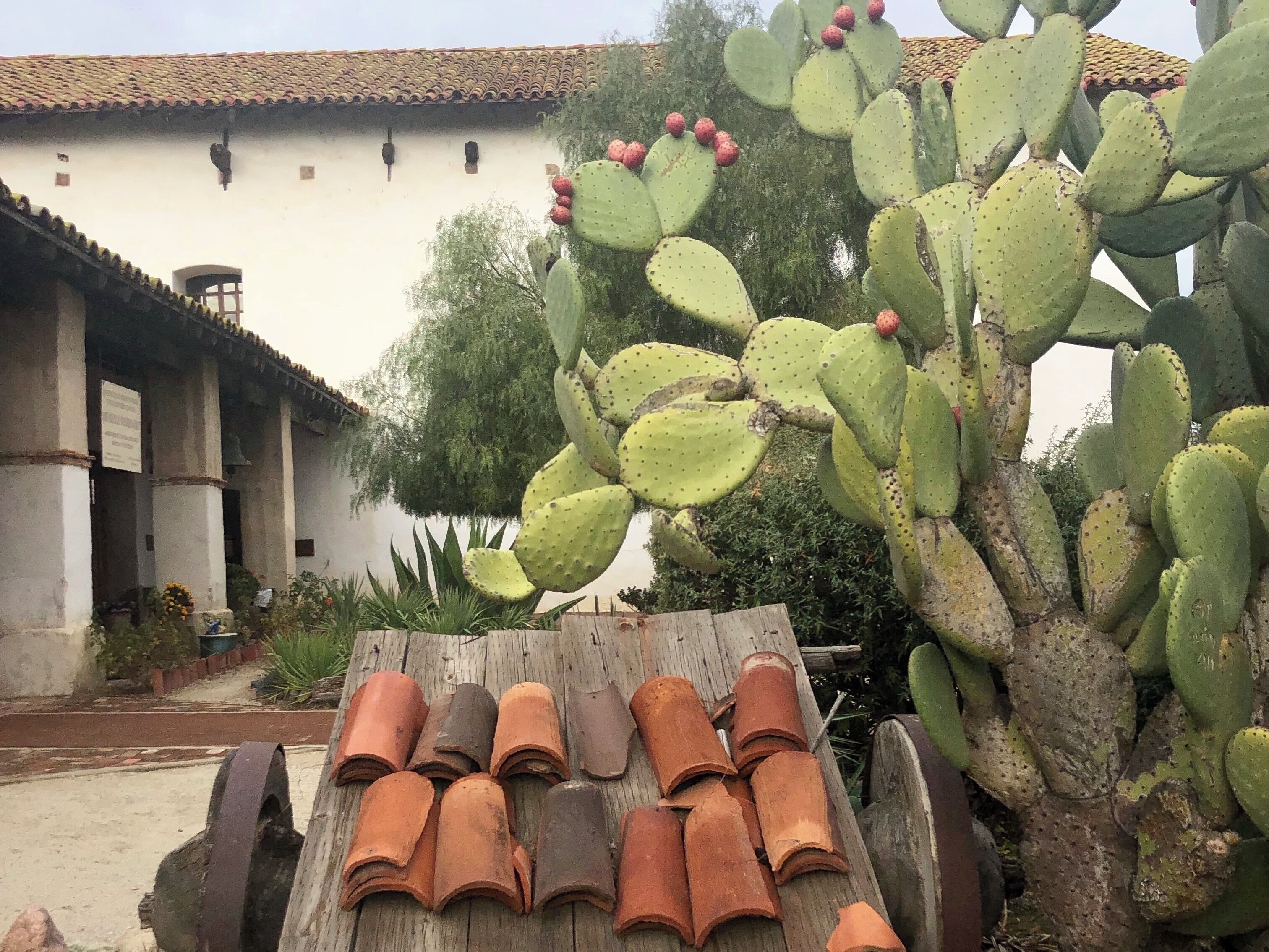 This is the sixteenth of twenty two Missions built by the Spanish. The original Mission here was built in 1797. It was destroyed in a fire in 1808. The church and surrounding buildings were rebuilt and completed in 1818.