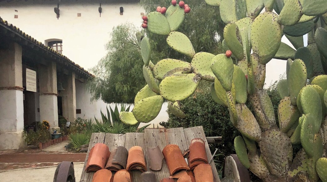 This is the sixteenth of twenty two Missions built by the Spanish. The original Mission here was built in 1797. It was destroyed in a fire in 1808. The church and surrounding buildings were rebuilt and completed in 1818.