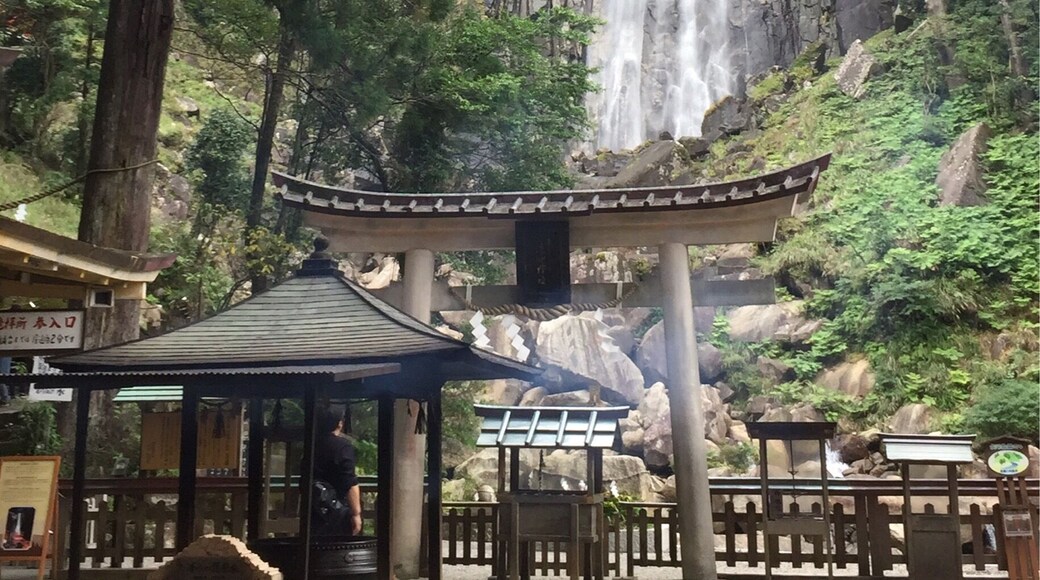 Nachi Fall