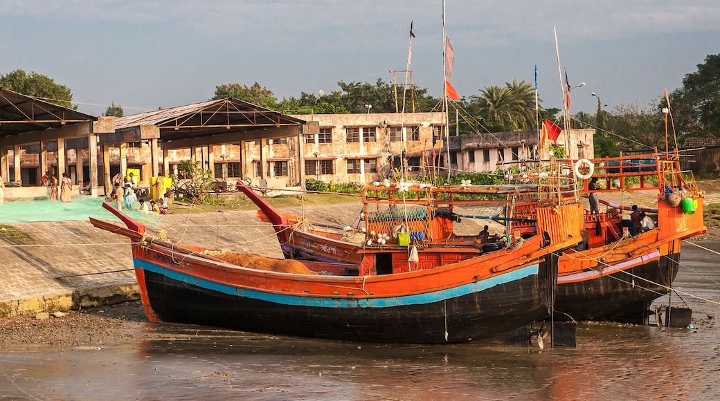 ๋ค์ด์๋ชฌ๋ํ๋ฒ