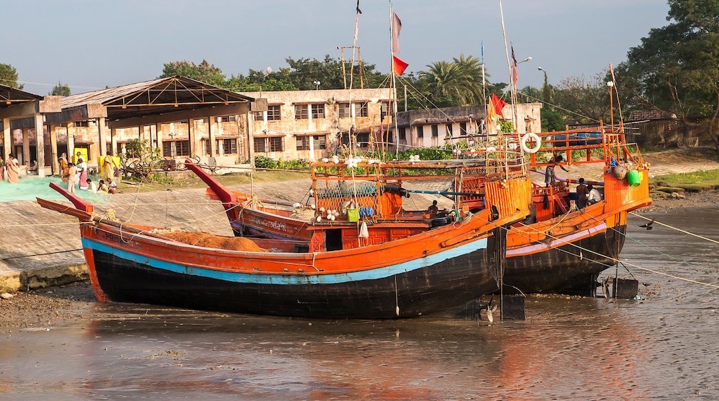 ๋ค์ด์๋ชฌ๋ํ๋ฒ