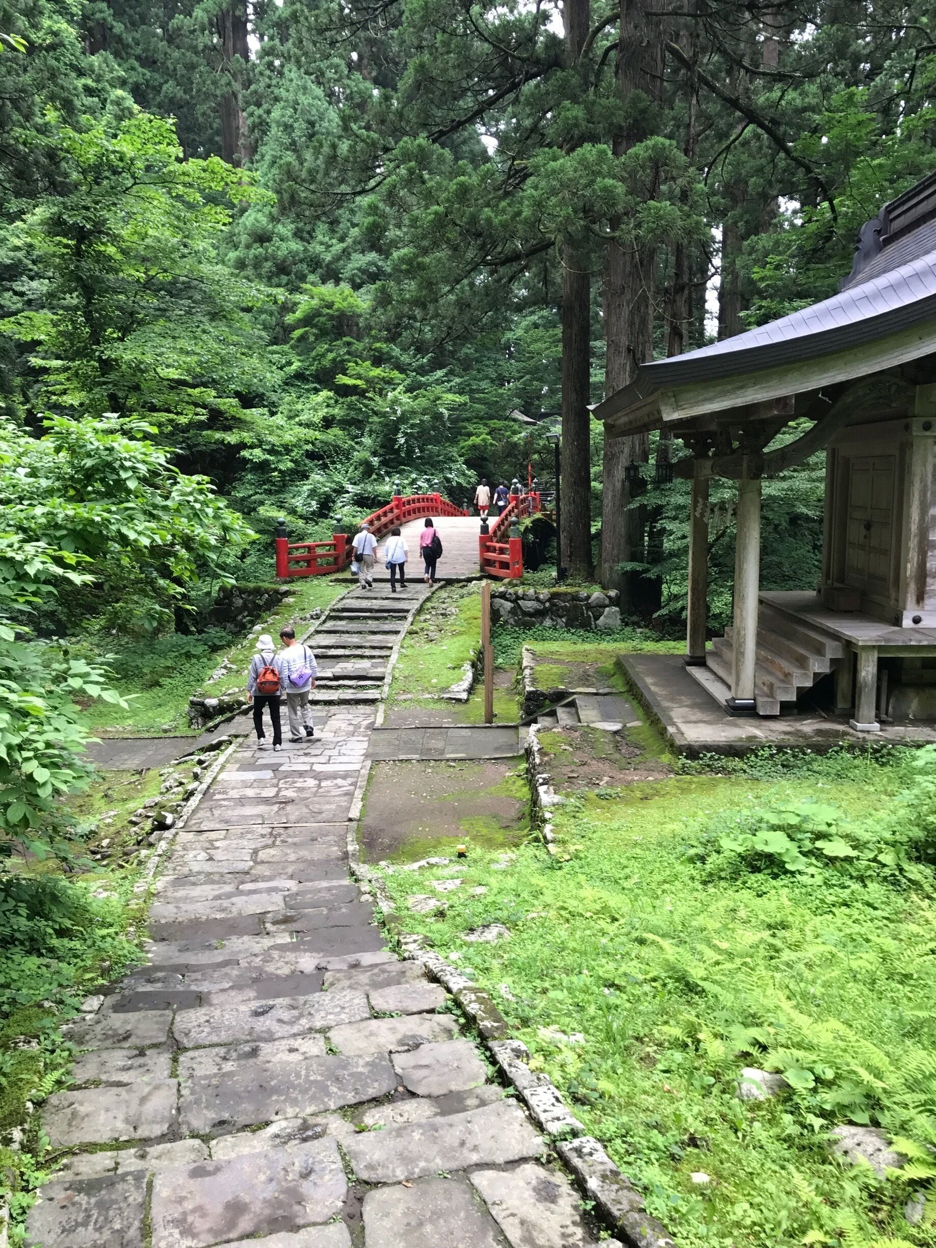 It feels so fresh and wild here.