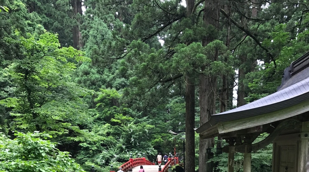 It feels so fresh and wild here.