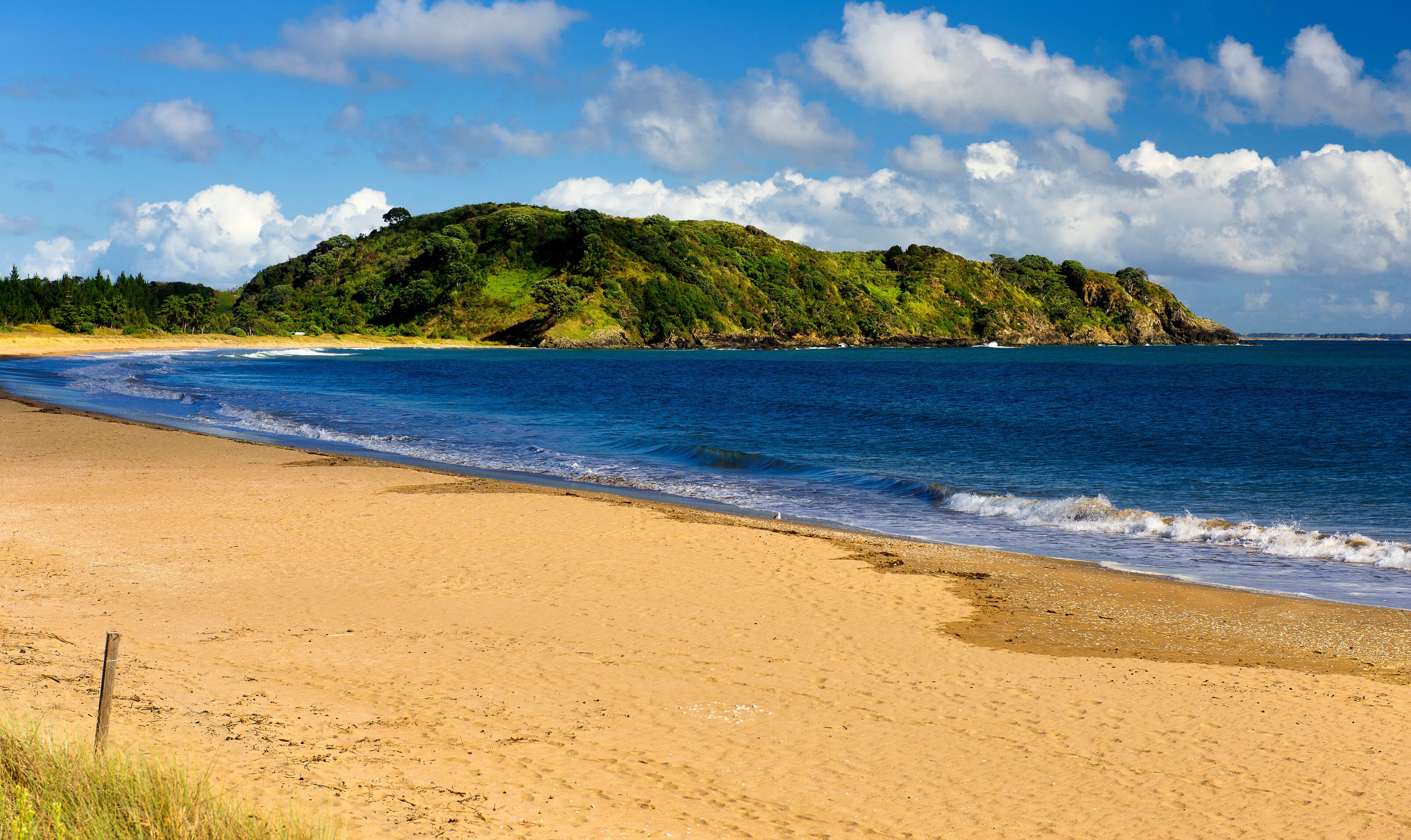 Beach at the Taipa Bay