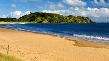 Beach at the Taipa Bay