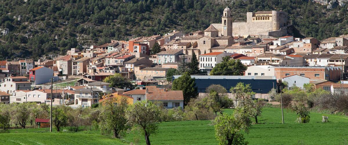 A town with a prominent castle-like structure, surrounded by lush green fields and dense forested hills.