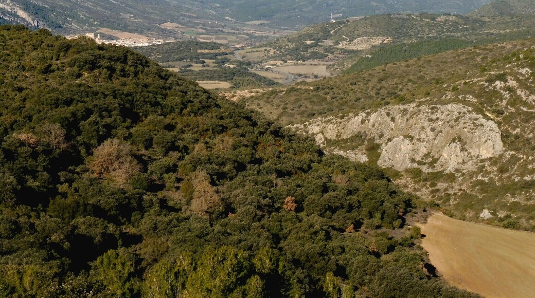 Castell de Campvim (les Avellanes i Santa Linya): vista a ponent: les muntanyes d'Os This is a photo of a building indexed in the Catalan heritage register as Bé Cultural d'Interès Local (BCIL) under the reference IPA-30749.